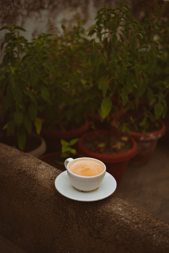 Mastering the First Impression: Your intriguing post title goes here Charming outdoor scene with a coffee cup on ledge surrounded by potted plants, capturing a moment of tranquility.